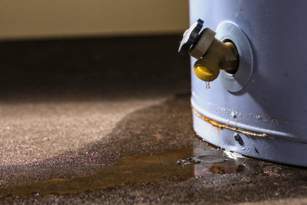 Best Professional water damage repair  in Beecher, MI