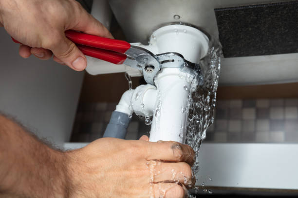 Best Commercial water damage restoration  in Beecher, MI
