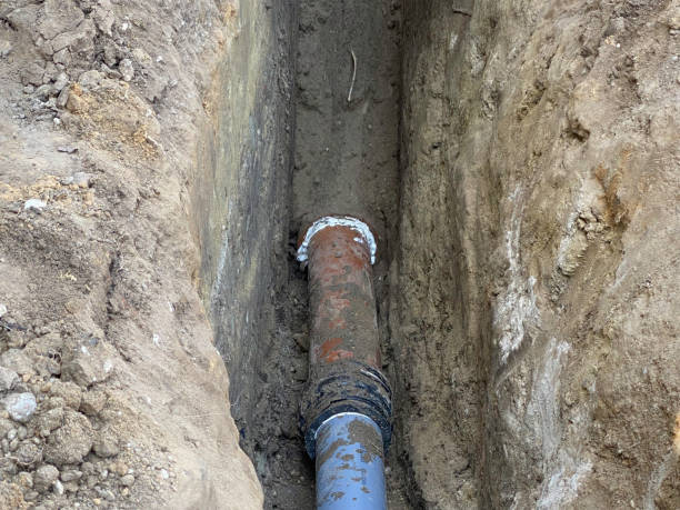 Best Flood restoration services  in Beecher, MI