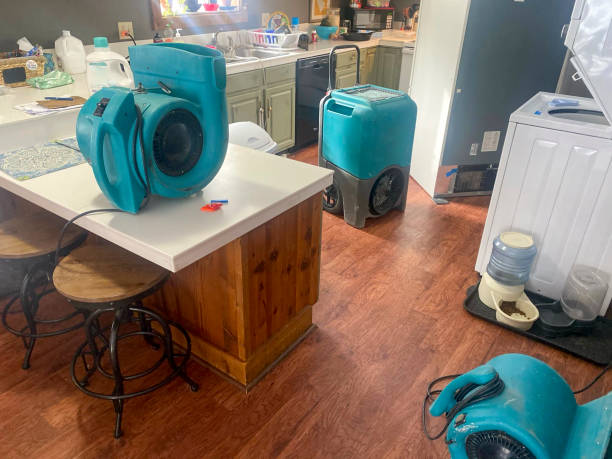 Best Sewage cleanup and water damage restoration  in Beecher, MI