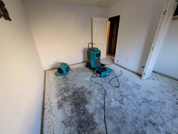 Best Mold removal after water damage  in Beecher, MI