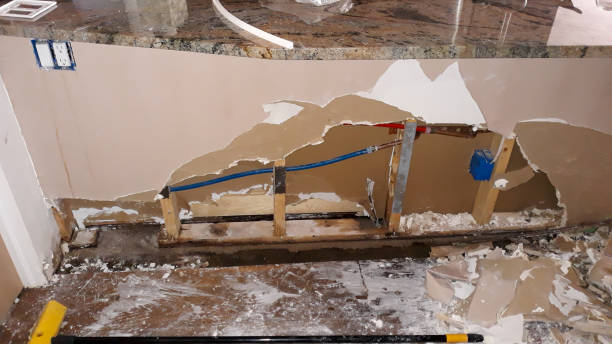 Best Carpet water damage restoration  in Beecher, MI