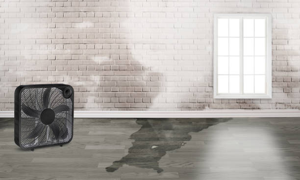 Best Fire Damage Restoration  in Beecher, MI