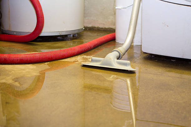 Local water damage restoration in Beecher, MI
