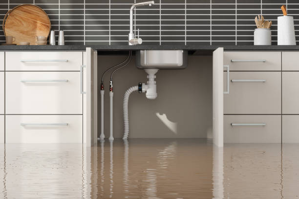 Best Fire Damage Restoration  in Beecher, MI