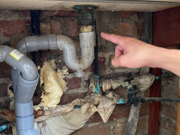 Best Flood damage cleanup  in Beecher, MI