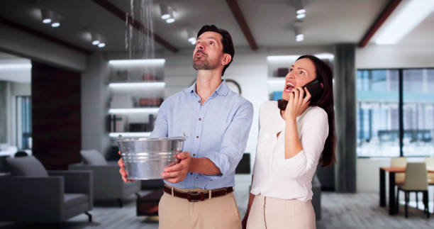 Best Water damage cleanup near me  in Beecher, MI