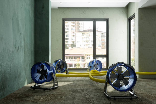 Reliable Beecher, MI Water damage restoration Solutions