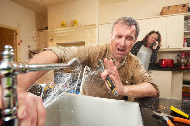 Best Emergency water damage restoration  in Beecher, MI
